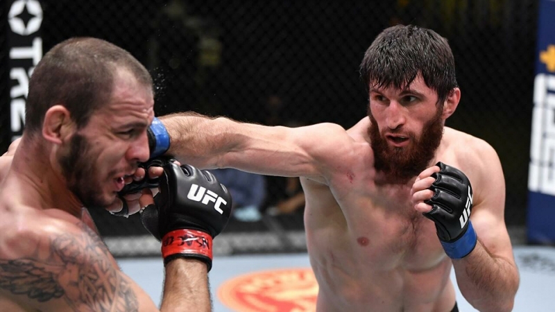 Победа Анкалаева, скандал вокруг Гришина: чем завершилось новое шоу UFC