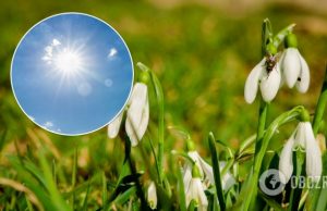 В Украину идет настоящая весна: в воскресенье воздух погреется до +15 градусов