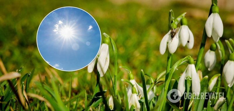 В Украину идет настоящая весна: в воскресенье воздух погреется до +15 градусов