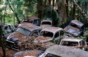 Автомобильные кладбища России: что там можно найти интересного