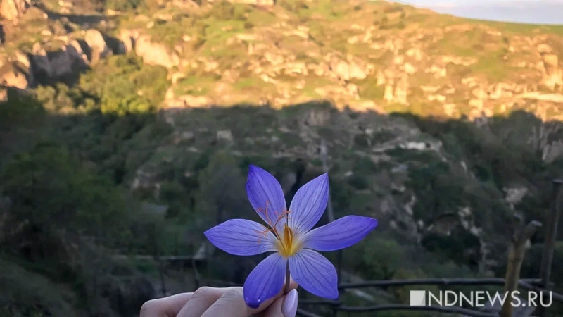 Любопытный и интригующий: Pantone создал новый оттенок синего для 2022 года