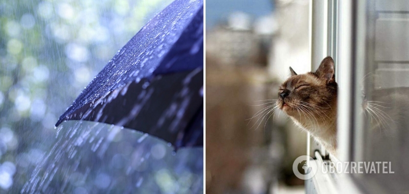 В Украину ворвется потепление, но с дождями: синоптики дали прогноз на начало недели. Карта